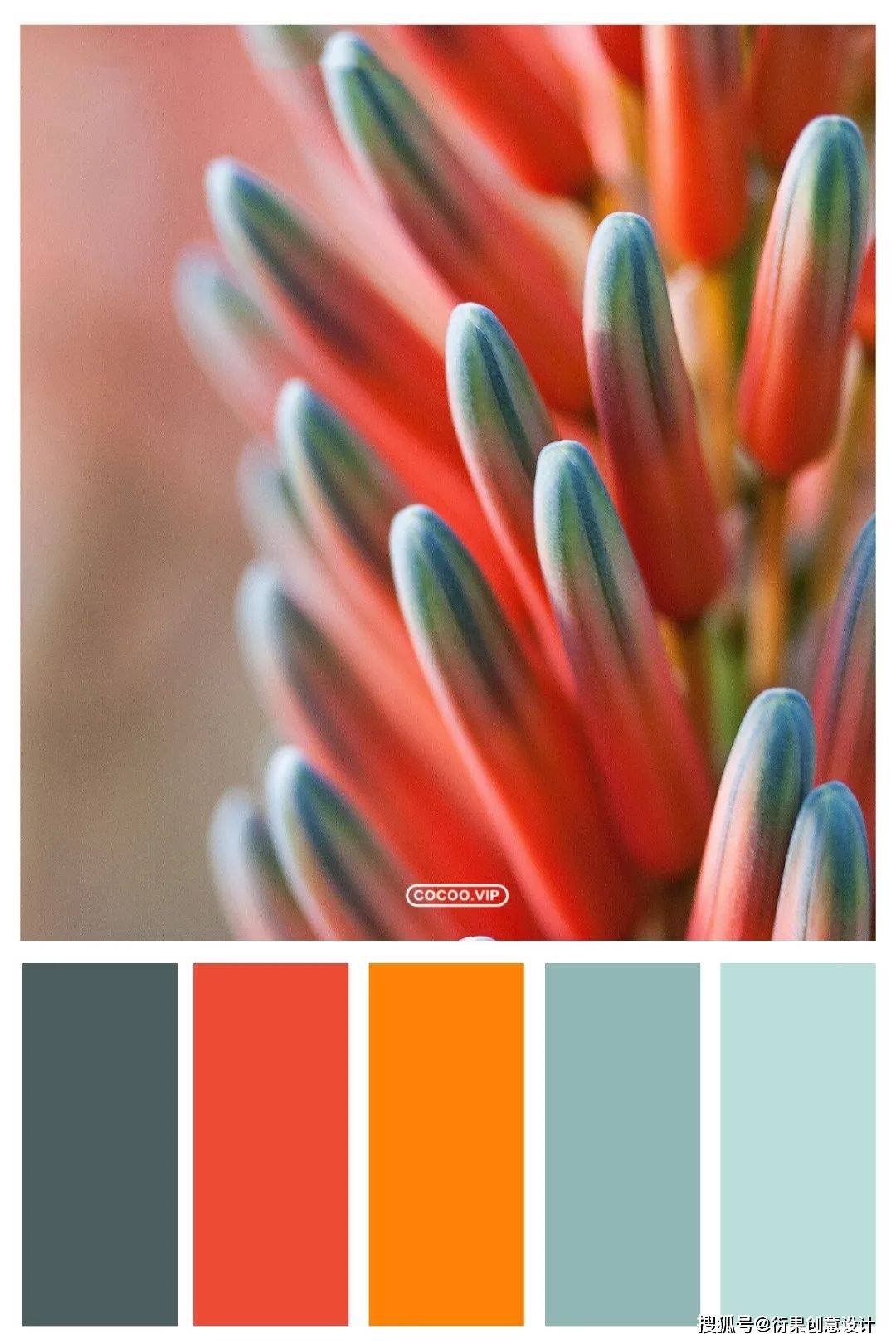 【配色技巧】一组色彩搭配方案