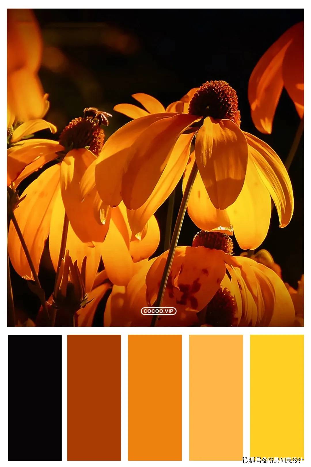 【配色技巧】一组色彩搭配方案