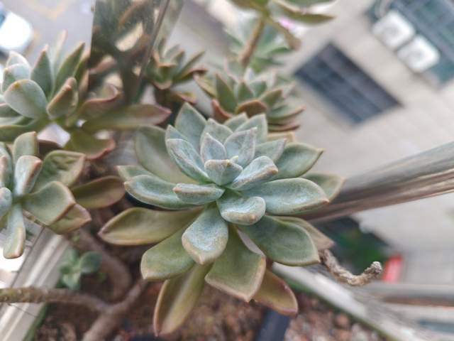 一加12开箱体验：人生第一台哈苏，看看一加的十年力作