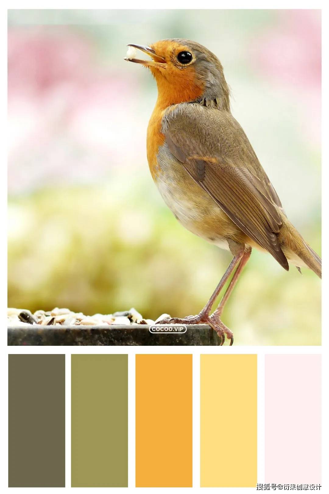 【配色技巧】一组色彩搭配方案