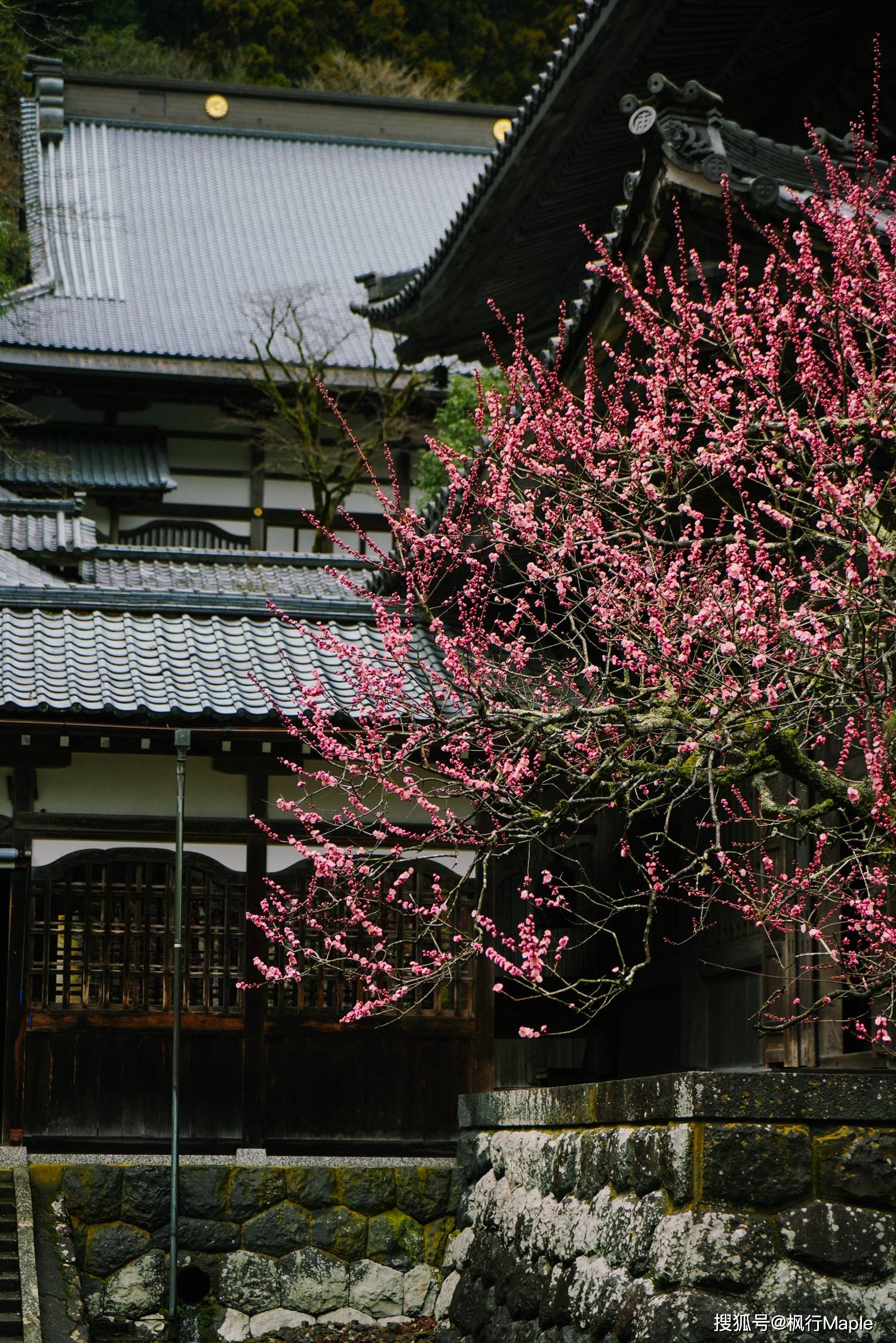 日本福井永平寺,不愧是乔布斯想来出家的佛教古寺