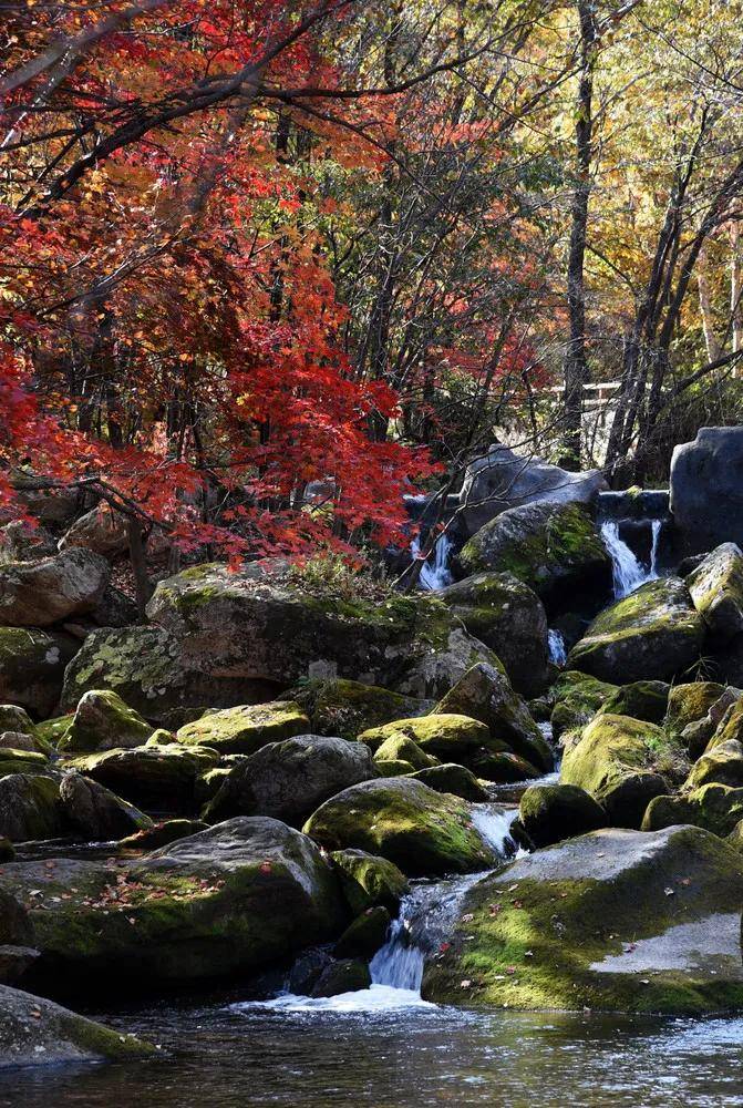 本溪旅游干线上一颗璀璨的赏枫明珠——老边沟风景区