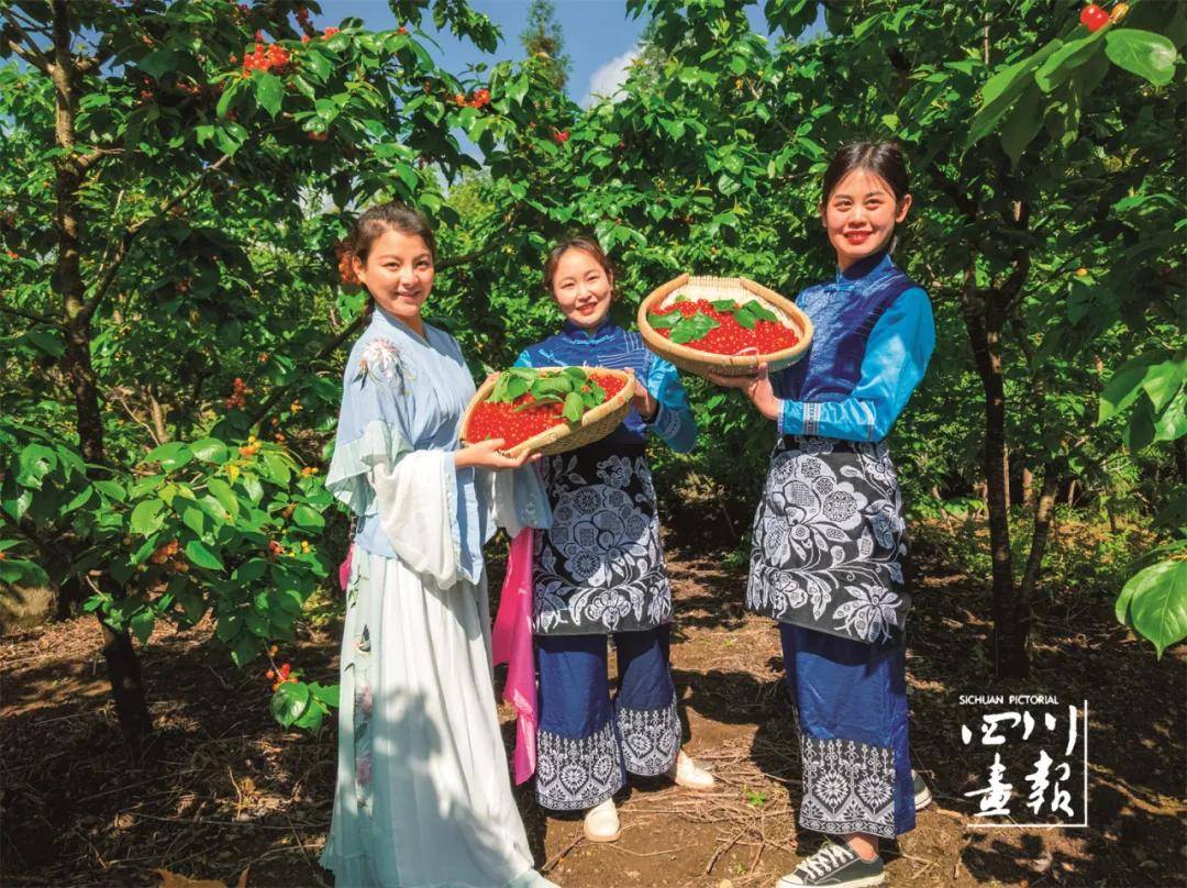 画卷天府·和美乡村 | 冕宁:开辟乡村旅游新路径_冕宁县_发展_樱桃