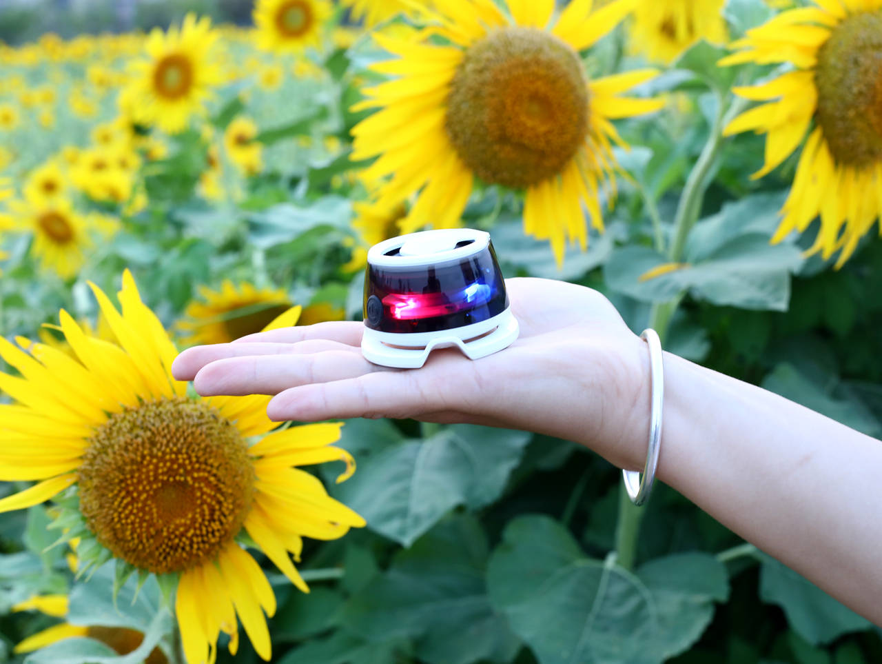 红魔磁吸音响：透明设计、RGB氛围灯加磁吸，红魔把小音响玩出花了