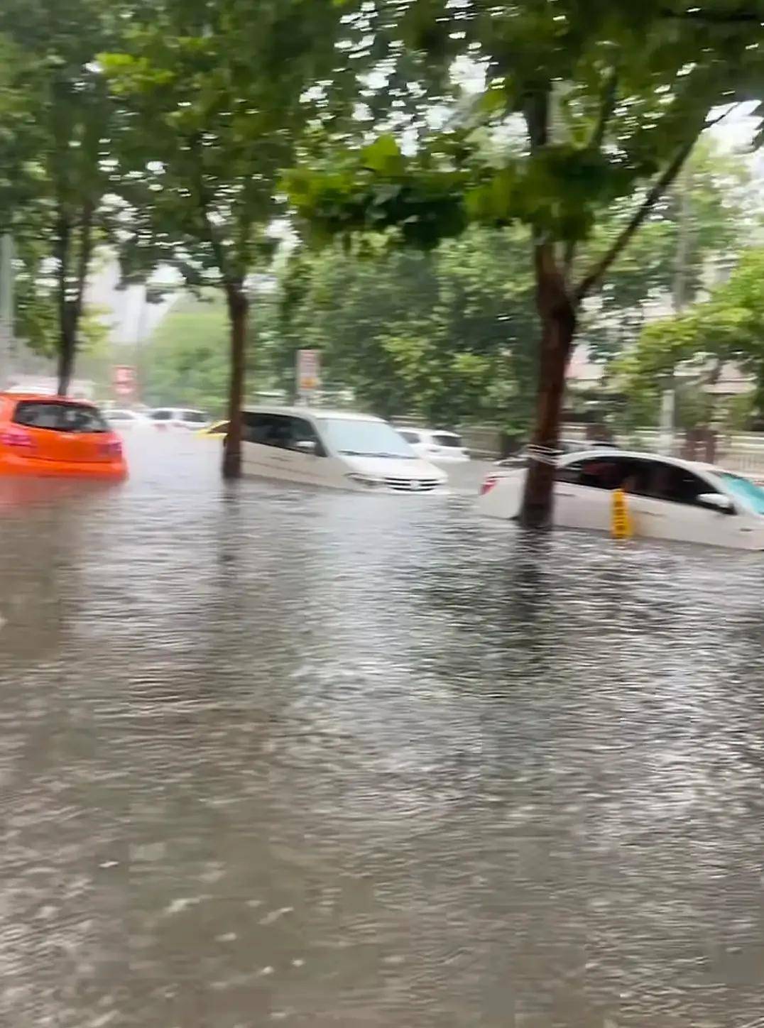 郑州暴雨又上热搜!低洼路段成汪洋,车辆纷纷趴窝,居民划船出行
