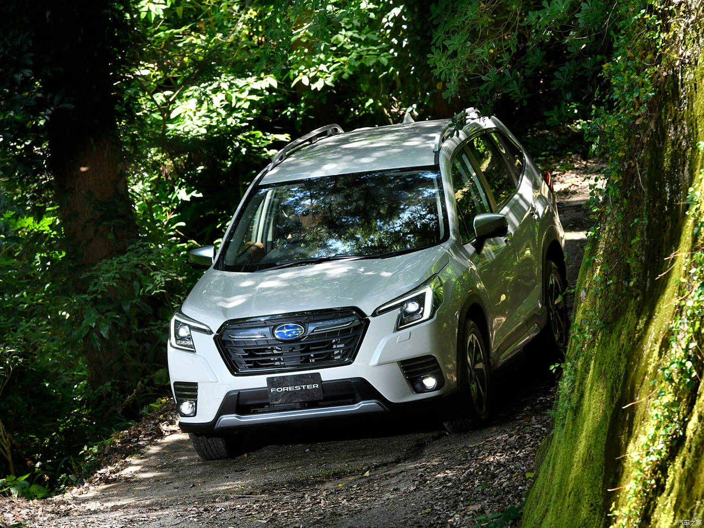 未来汽车能源系统:重塑出行,引领绿色革命