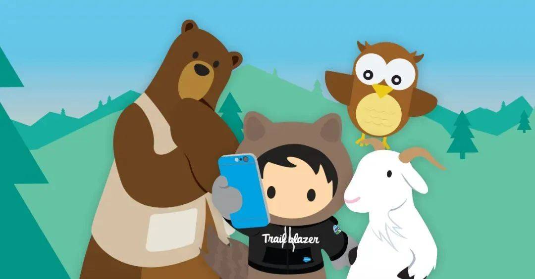 Salesforce业务分析师认证最新考纲，建议收藏！