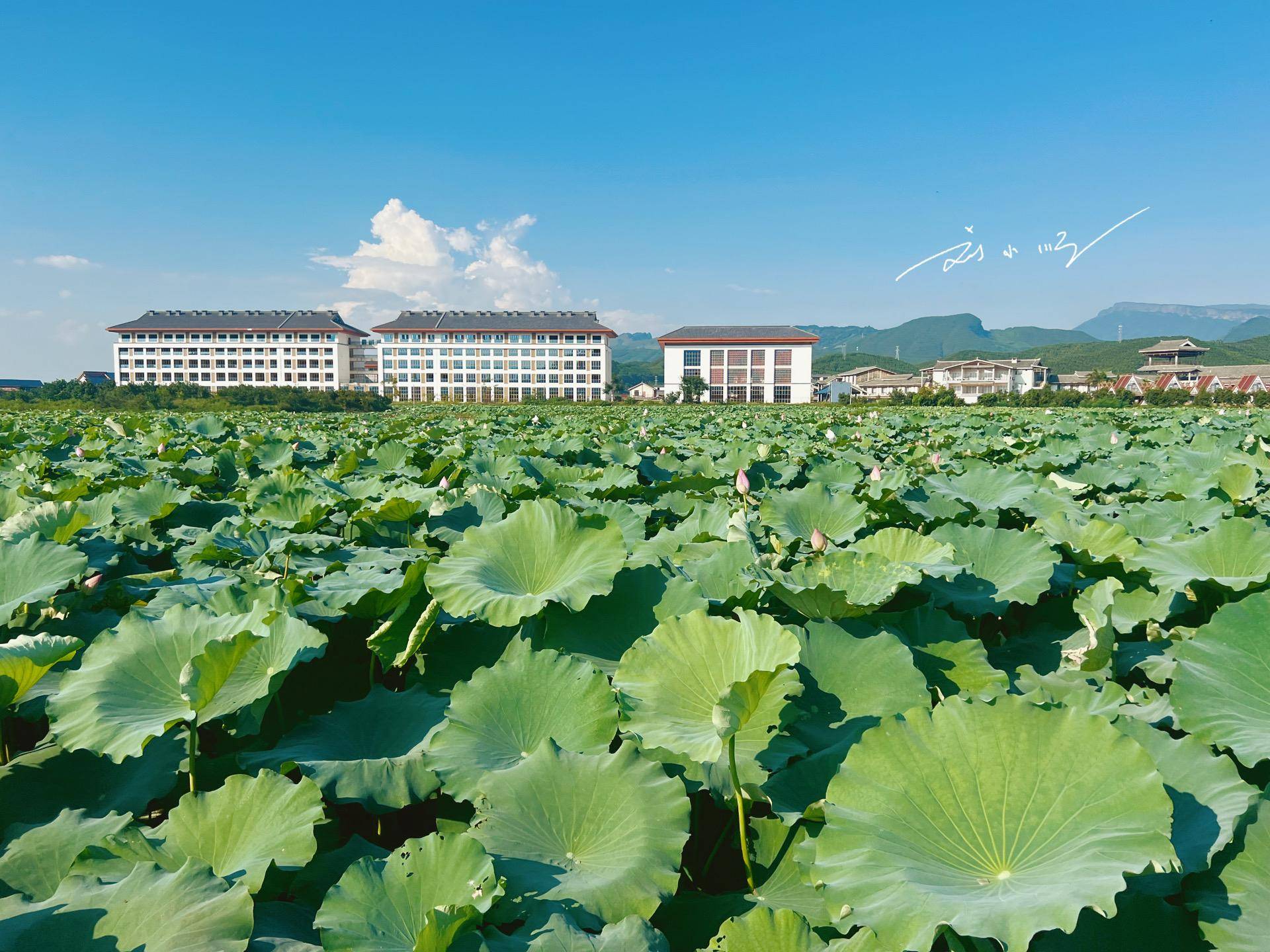 风景名胜区,北帝山旅游区等众多国家4a级旅游景区,以及桂平北回归线