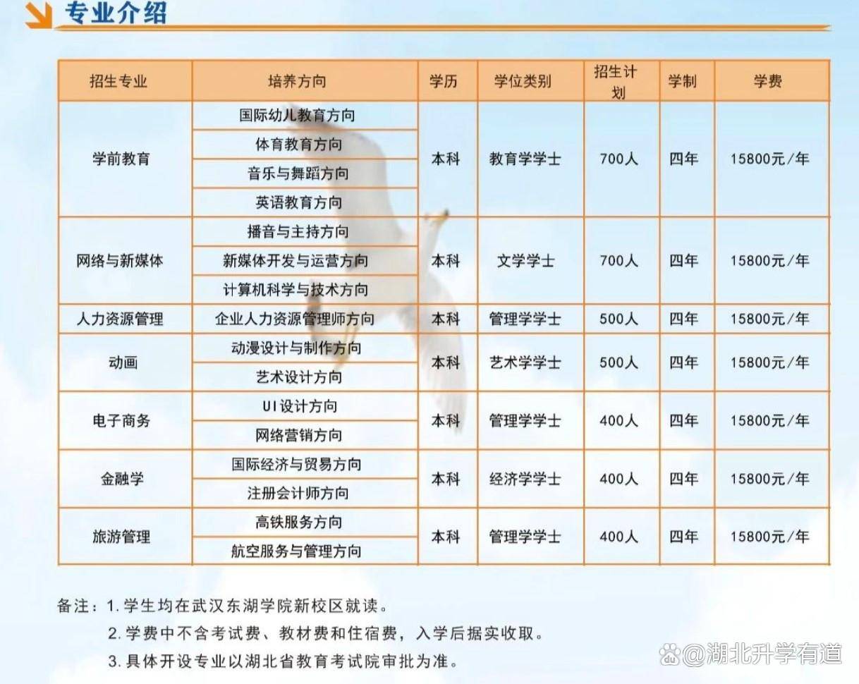 人力资源管理旅游管理金融学动画电子商务(国家级一流本科专业建设点)