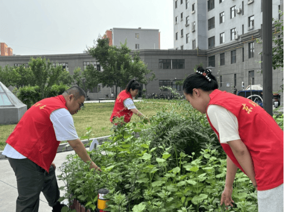 开展地毯式的踏查行动,坚决杜绝非法种植毒品原植物行为