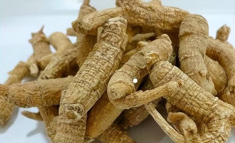 揭秘千年养生圣品,你真的了解西洋参的功效与作用吗?
