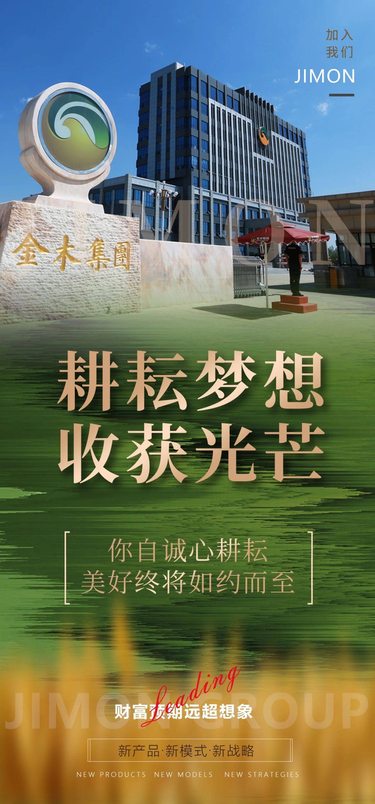 香港金木棉集团背景图片