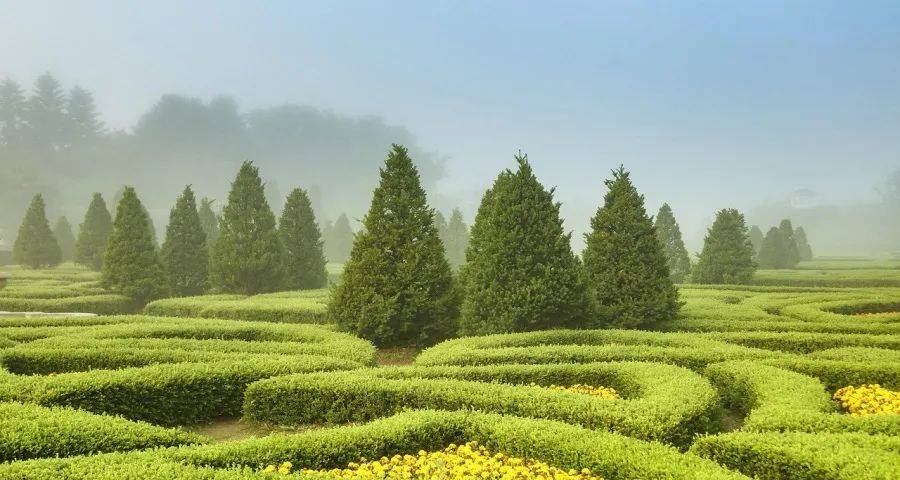 洗地机集成灶两极分化,海尔海信长虹美菱A.O.史密斯引爆市场-家电圈官网