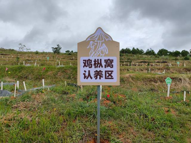 2024年南华县人口_盛夏的雨露之行——南华县文联本土作家雨露乡调研采访记