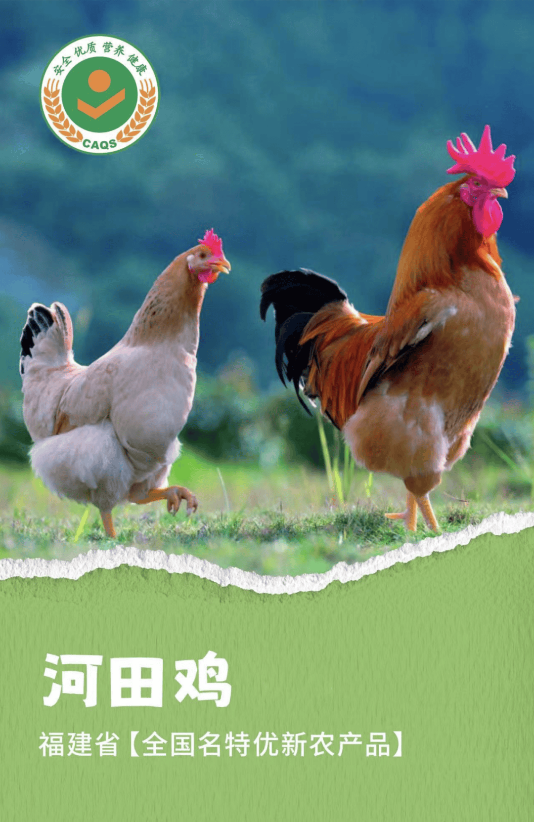 走上致富之路(重生带着妻儿走上致富之路)