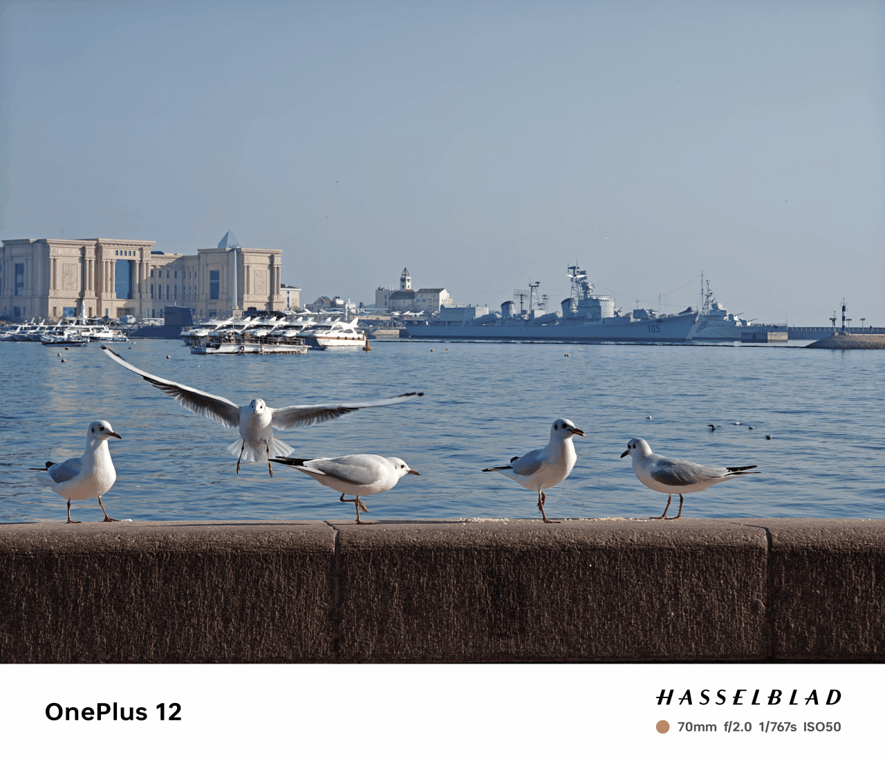 性能怪兽，影像拍摄能力大幅升级！一加12深度体验