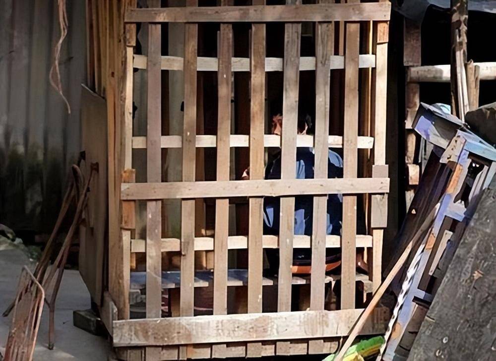 回顾:男子患怪病,被锁笼子里喂养,父亲在他面前去世也无动于衷