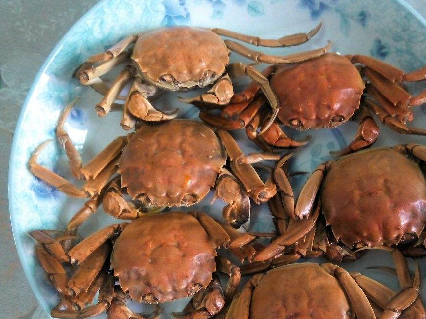 蒸螃蟹时,千万别放"料酒"了,用"它"腌制5分钟,鲜嫩无腥味