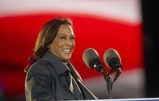 美下任总统板上钉钉?布林肯对王毅表明最新态度_哈里斯_拜登_美国