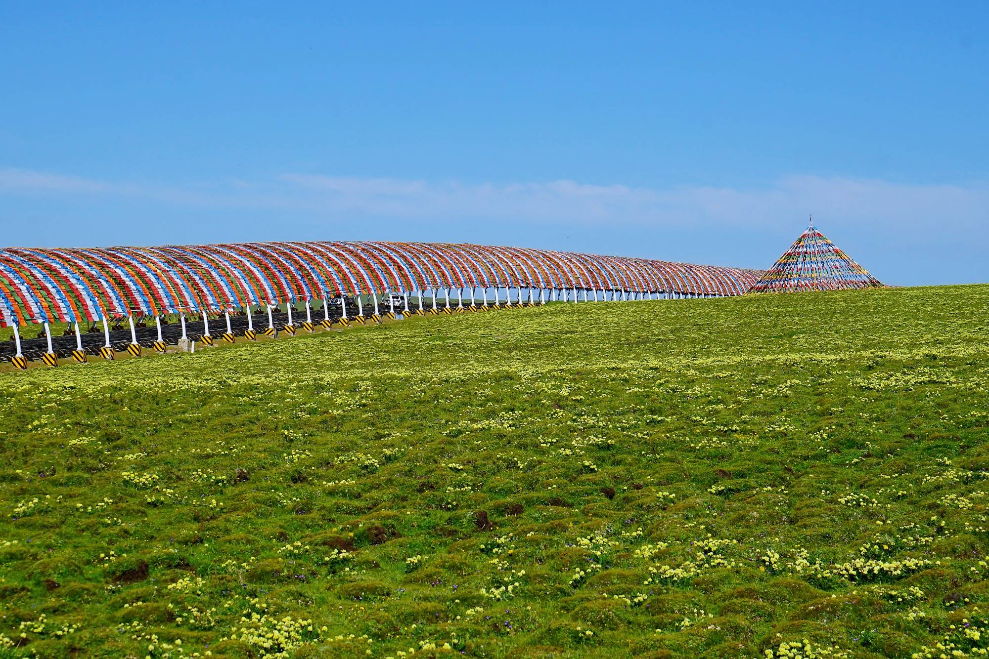 甘南美仁大草原,环境优美,空气清新,一处海拔4000米的人间仙境