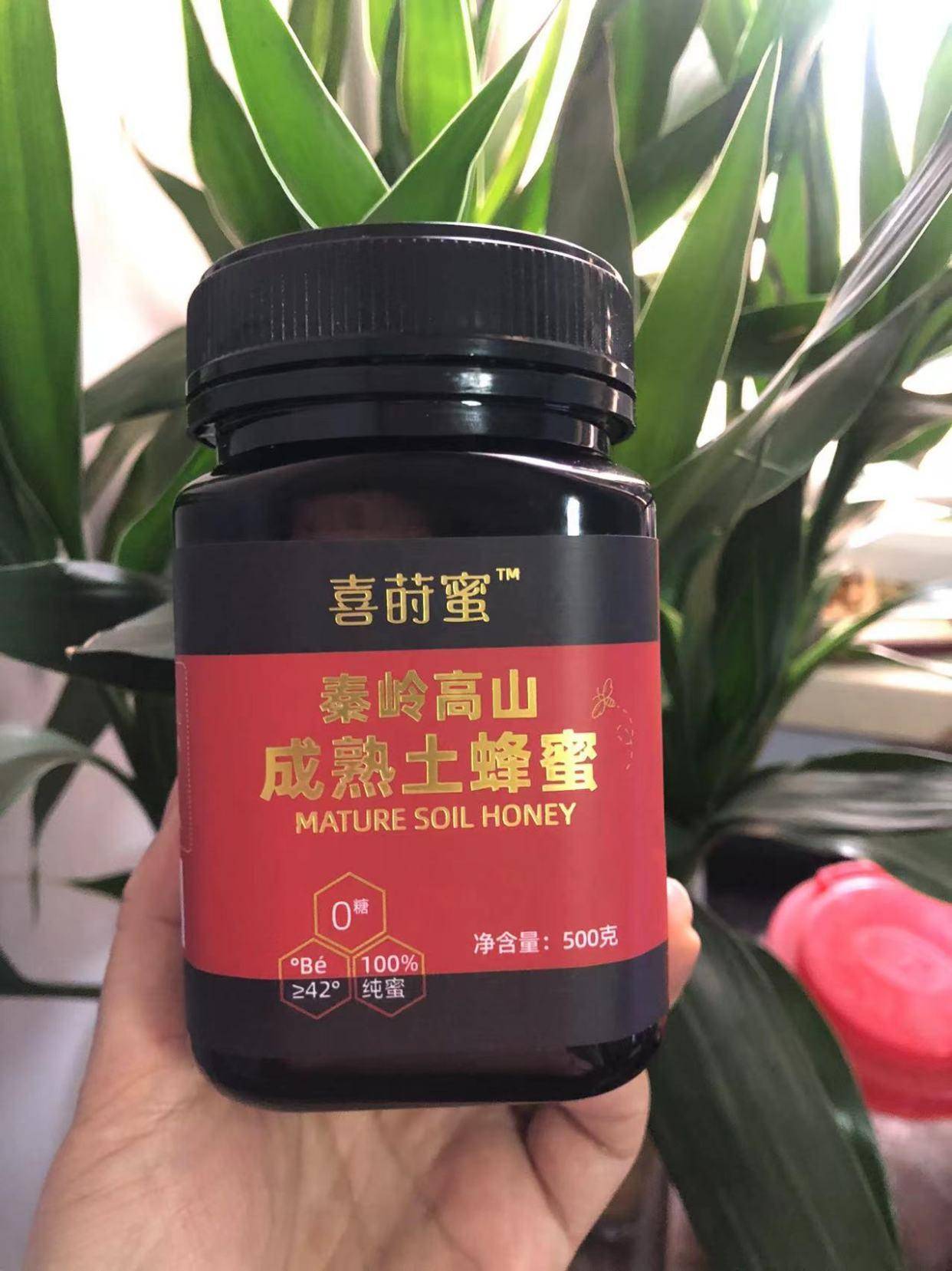 老人喝蜂蜜有哪些好处(老人常喝蜂蜜好吗)