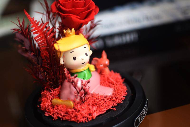 比真花更适合的七夕礼物，送朋友送自己都是佳选