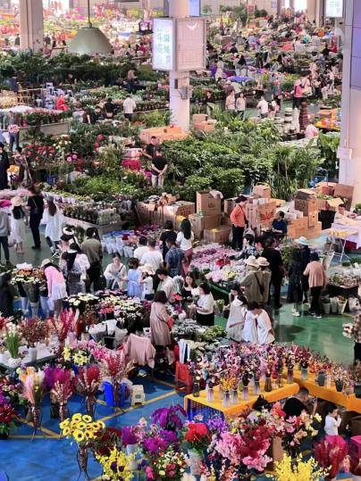 ④ 斗南花市:全国最大花卉市场,这里的鲜花不仅运往全国各地,同时