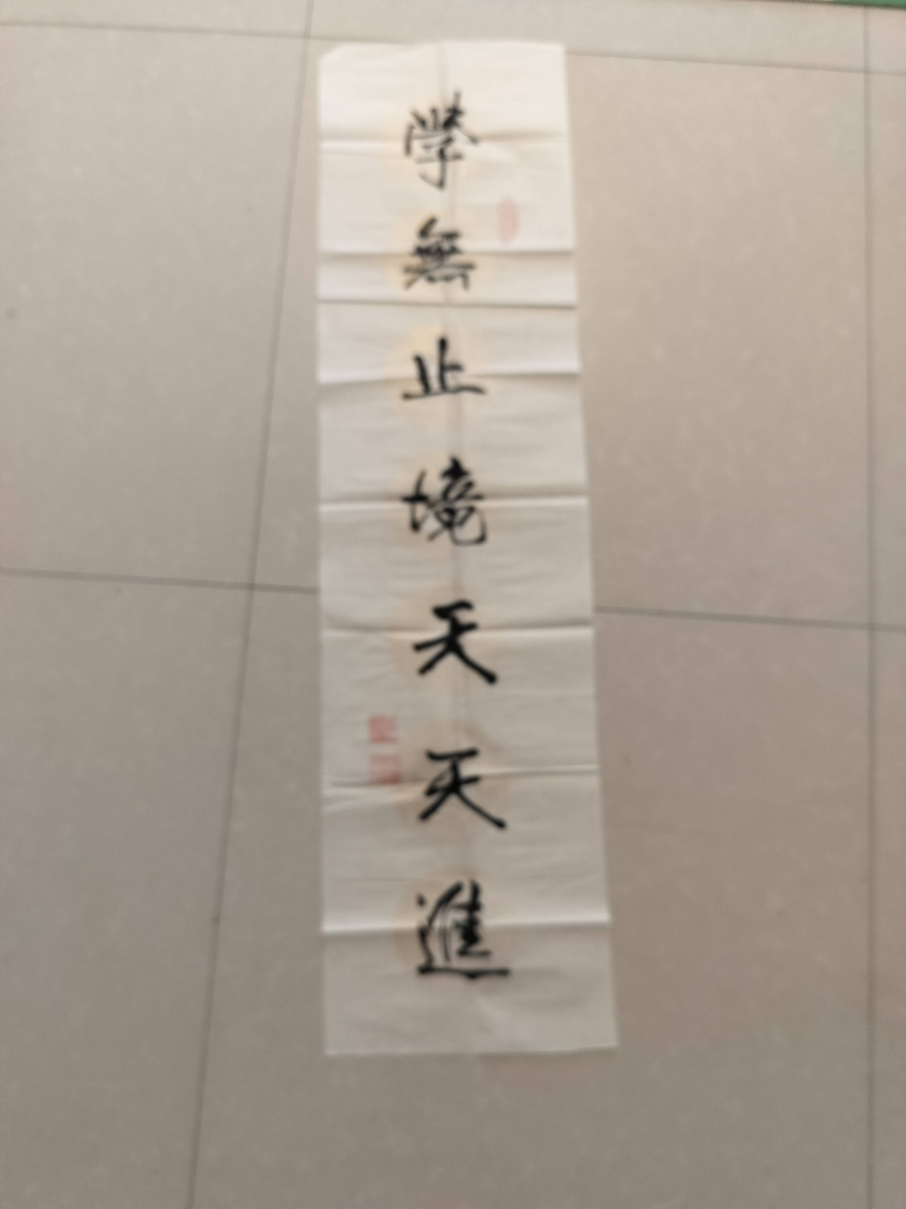 爱新觉罗兆瑞书法《学无止境天天进》_先生_艺术_传承