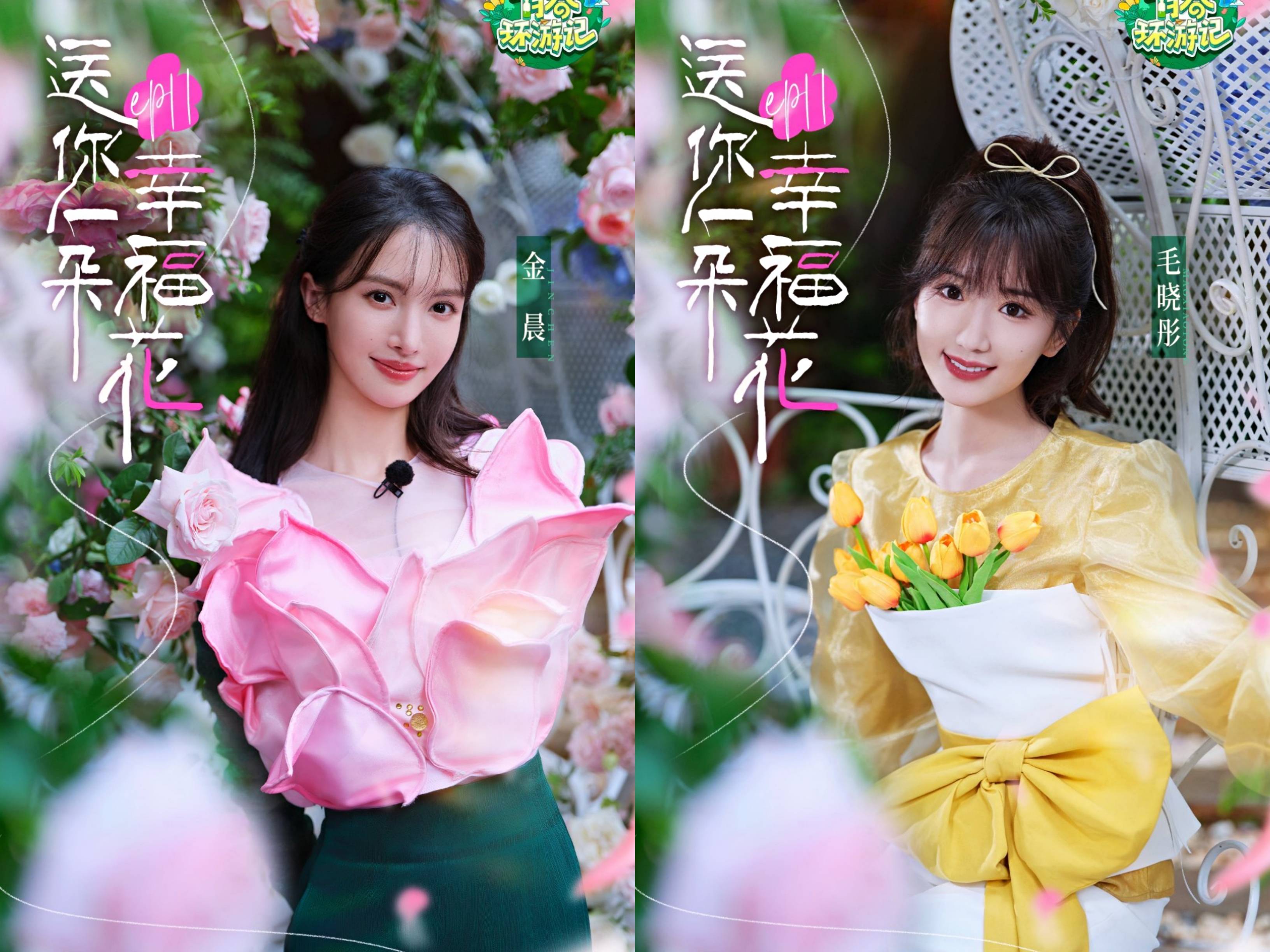 《青春环游记第五季》6~12期观后感