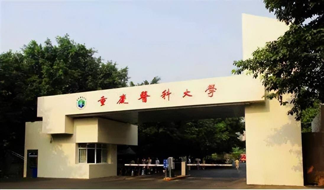 重庆医科大学门口图片