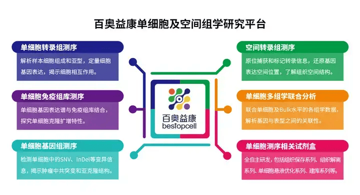 某进口单细胞测序系统分别检测一分为二的同一份小鼠脑单细胞悬液样本