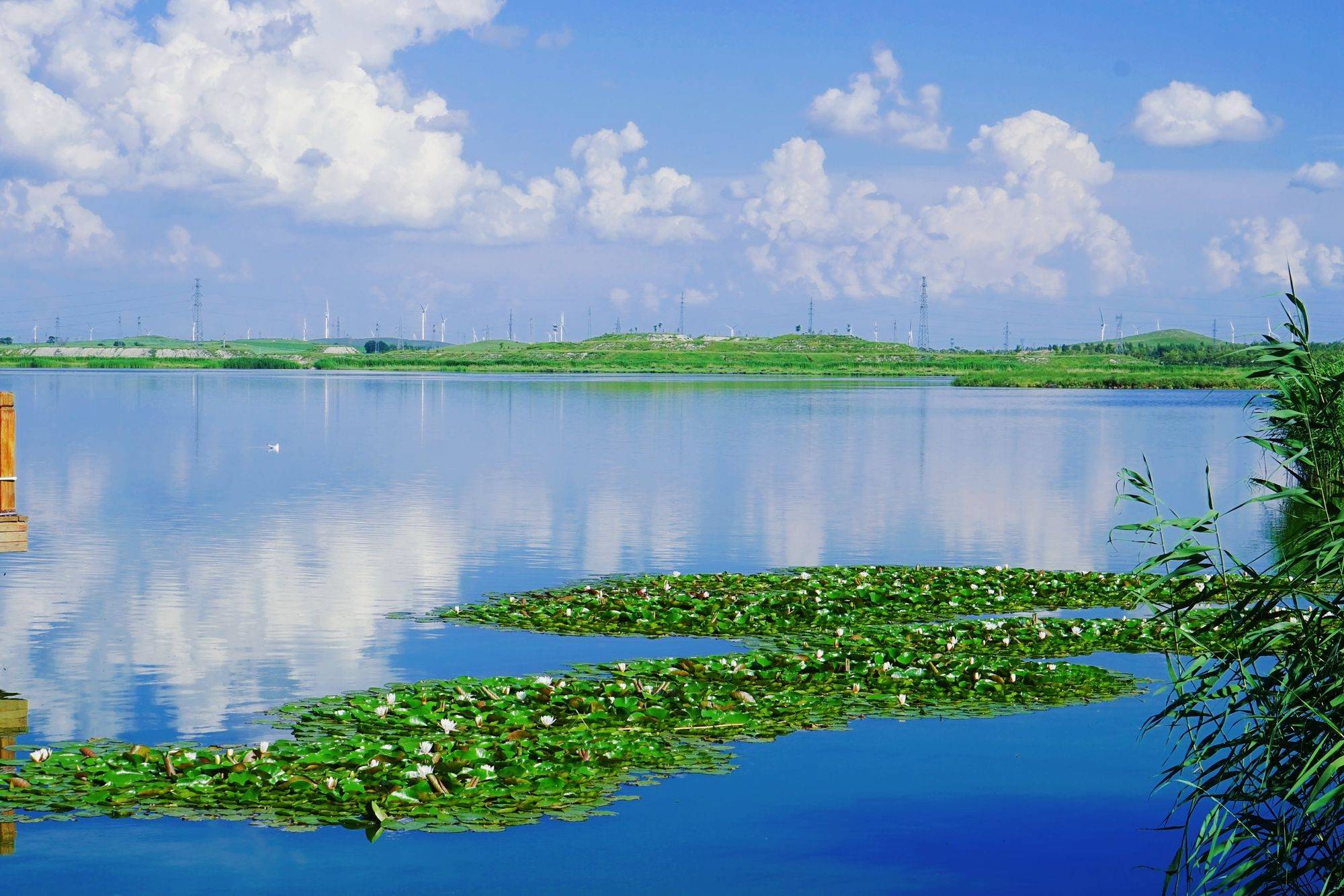 张家口康巴诺尔国家湿地公园,风景优美,还是著名的"遗鸥天堂"