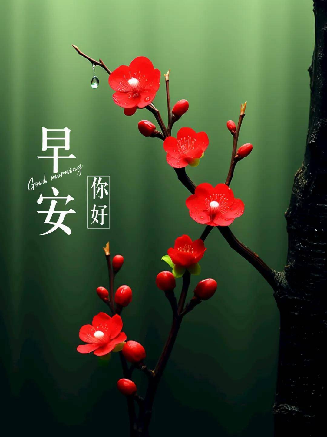 早安语录正能量句子!新的一天,新的开始!