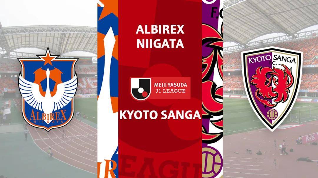 日职联 新泻天鹅 vs 京都不死鸟