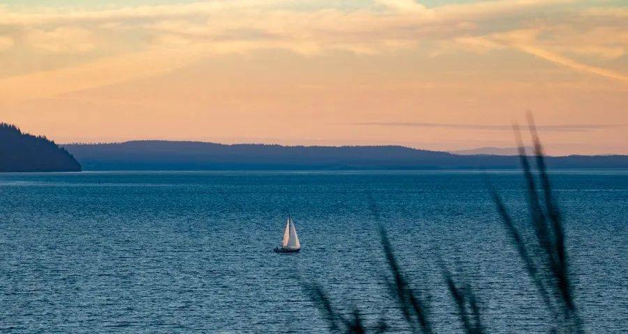 市场新周期下彩电企业们只能“等靠熬”？-家电圈官网