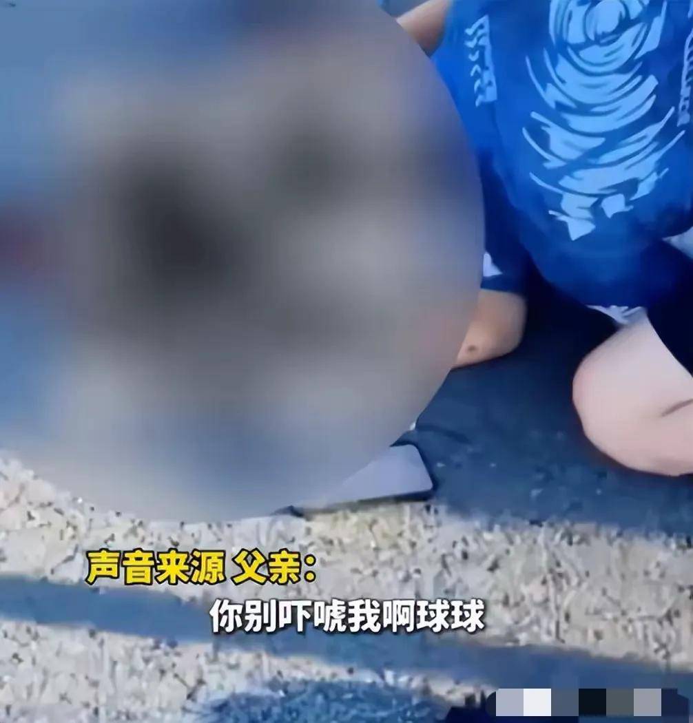 父亲之前被多次劝说不听,评论区炸锅_公路_孩子_悲剧