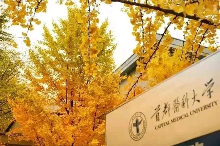 中国矿业大学(北京)世界排名_中国矿业大学北京排名_中国矿业大学(北京)全国排名