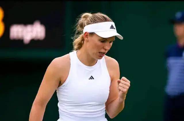 美网外卡公布,有大坂直美和安德莱斯库,没有沃兹尼亚奇,挺好_选手_赛