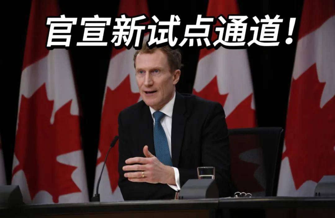比较容易移民的国家_移民相对容易的国家_移民最容易
