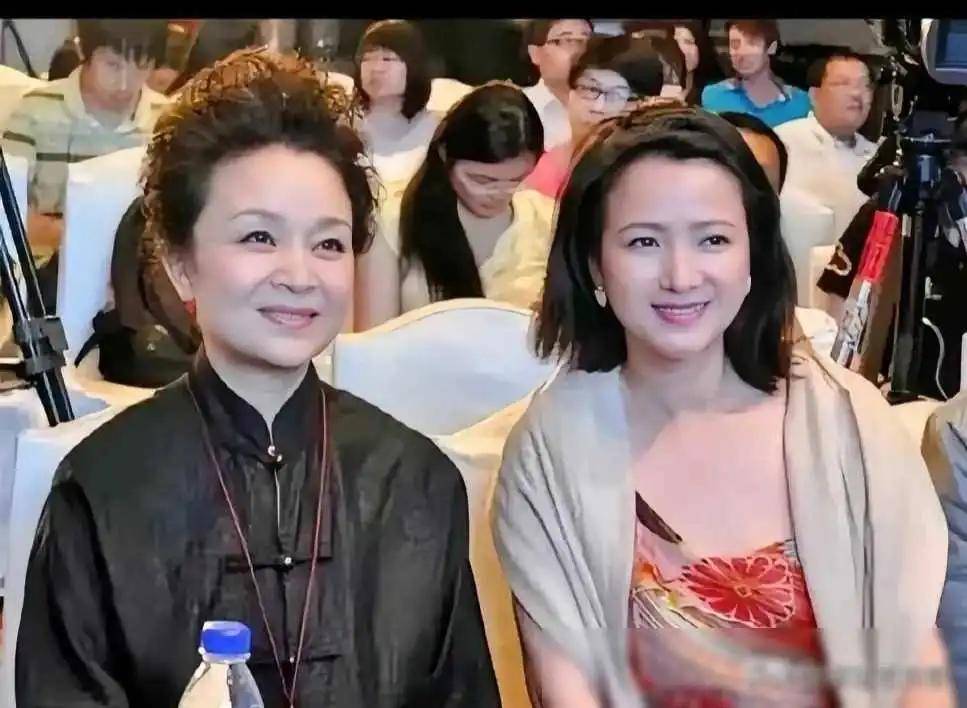 都同龄人,刘莉莉梳老年头穿旗袍衫优雅端庄,何晴还貌美年轻,像奶奶和