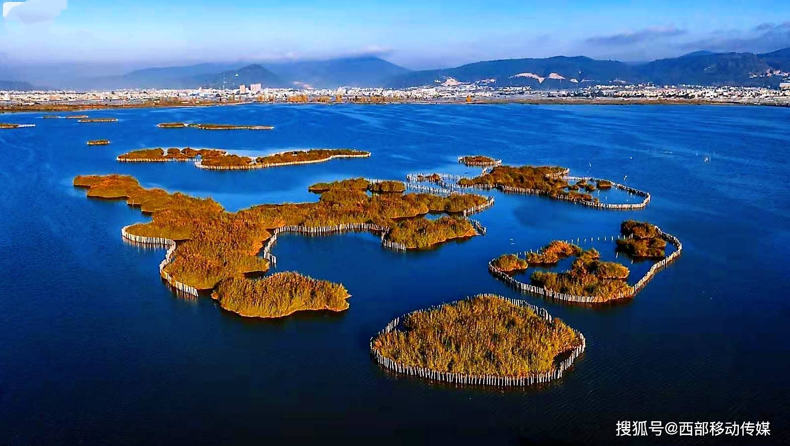 通海杞麓湖图片