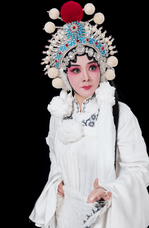 王善朴/杨华瑞/胡希华/孟祥礼/柏青/王惠…郑州戏曲演唱会购票