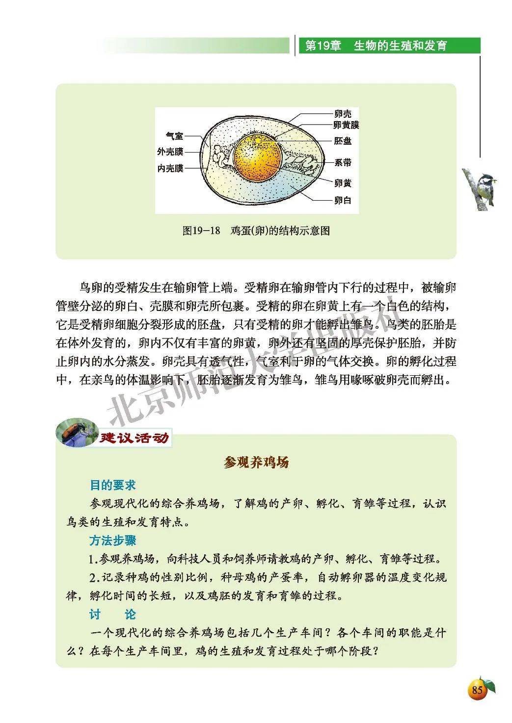 生物材料八年级  第1张