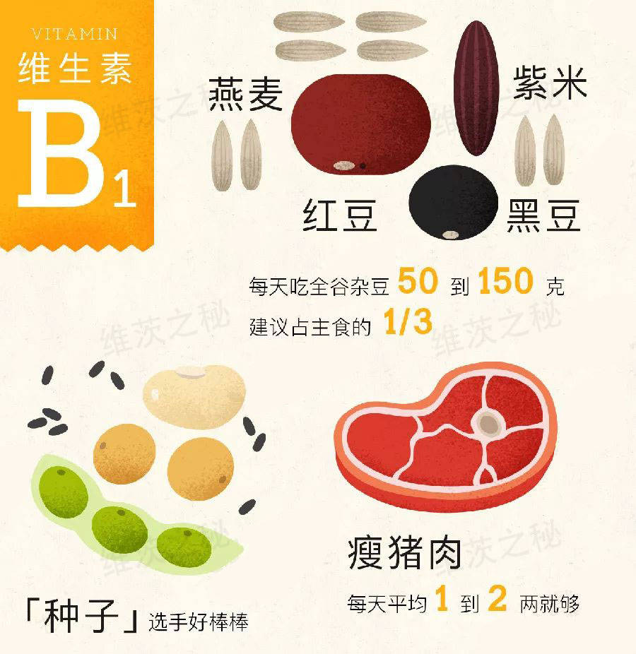 维茨之秘:维生素对减肥的重要性,你都知道了吗?_食物_脂肪_补充