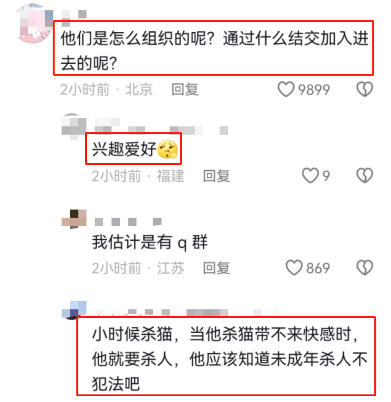 小孩自曝虐猫还称以杀猫为傲,男孩母亲:尊重孩子爱好