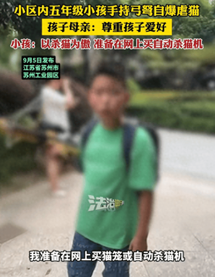 小孩自曝虐猫还称以杀猫为傲,男孩母亲:尊重孩子爱好