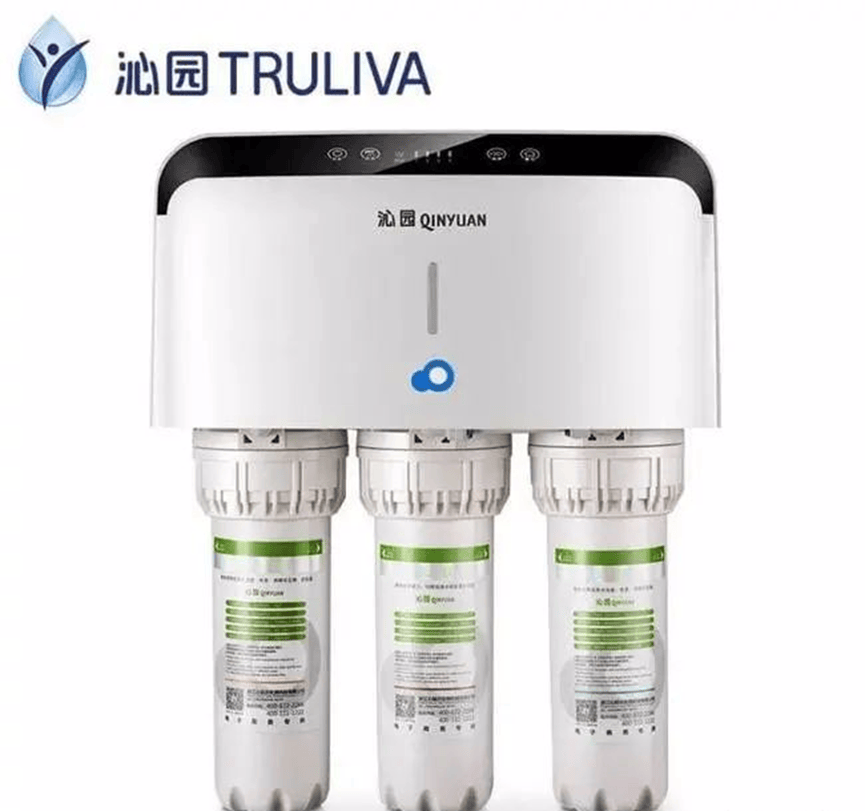 2024年全球净水器十大品牌排名