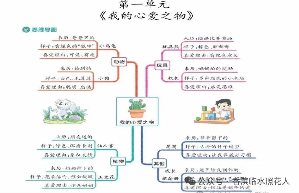 我的心爱之物结构图图片