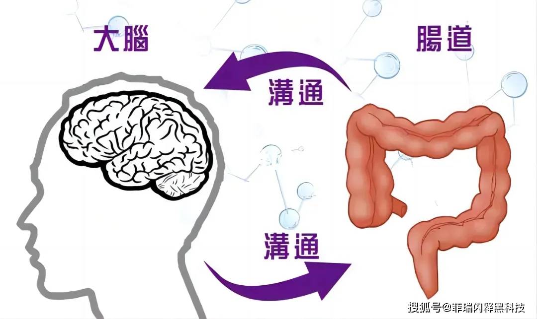 原来益生菌还能影响我们的情绪!_调节_肠道_大脑