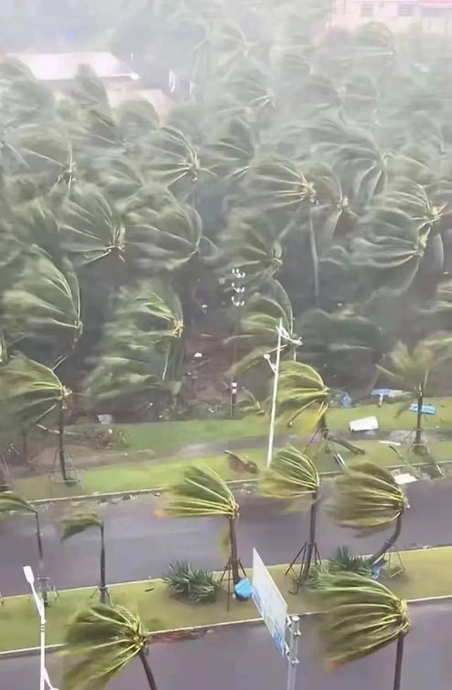 上海会遭遇大暴雨吗?这场风暴到底有多强